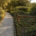Deux chemins de jardin côte à côte : l’un gravillonné, dégagé et balisé de bornes ambrées, l’autre envahi par la végétation et fermé par une barrière en bois